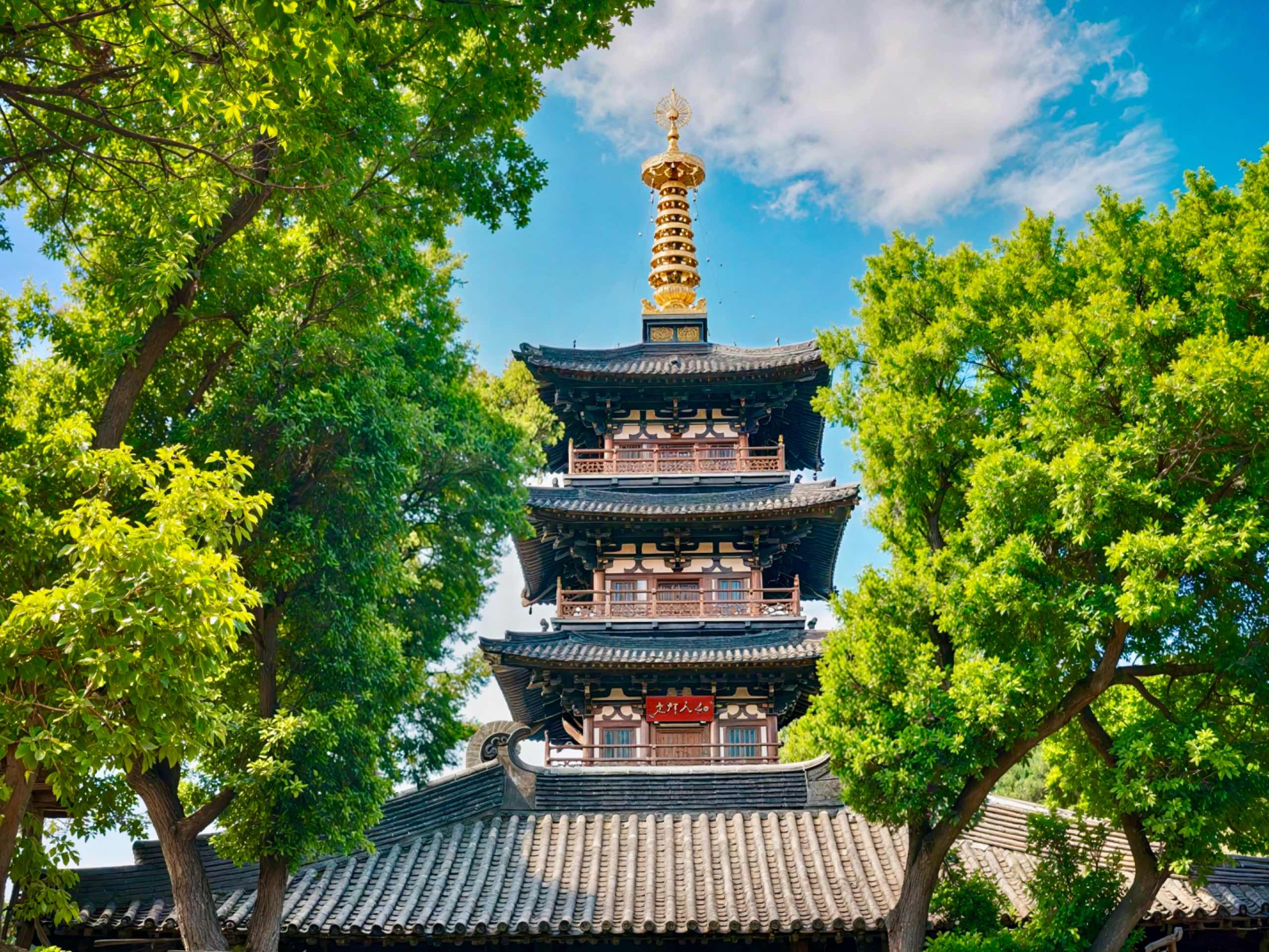 相册照片 6